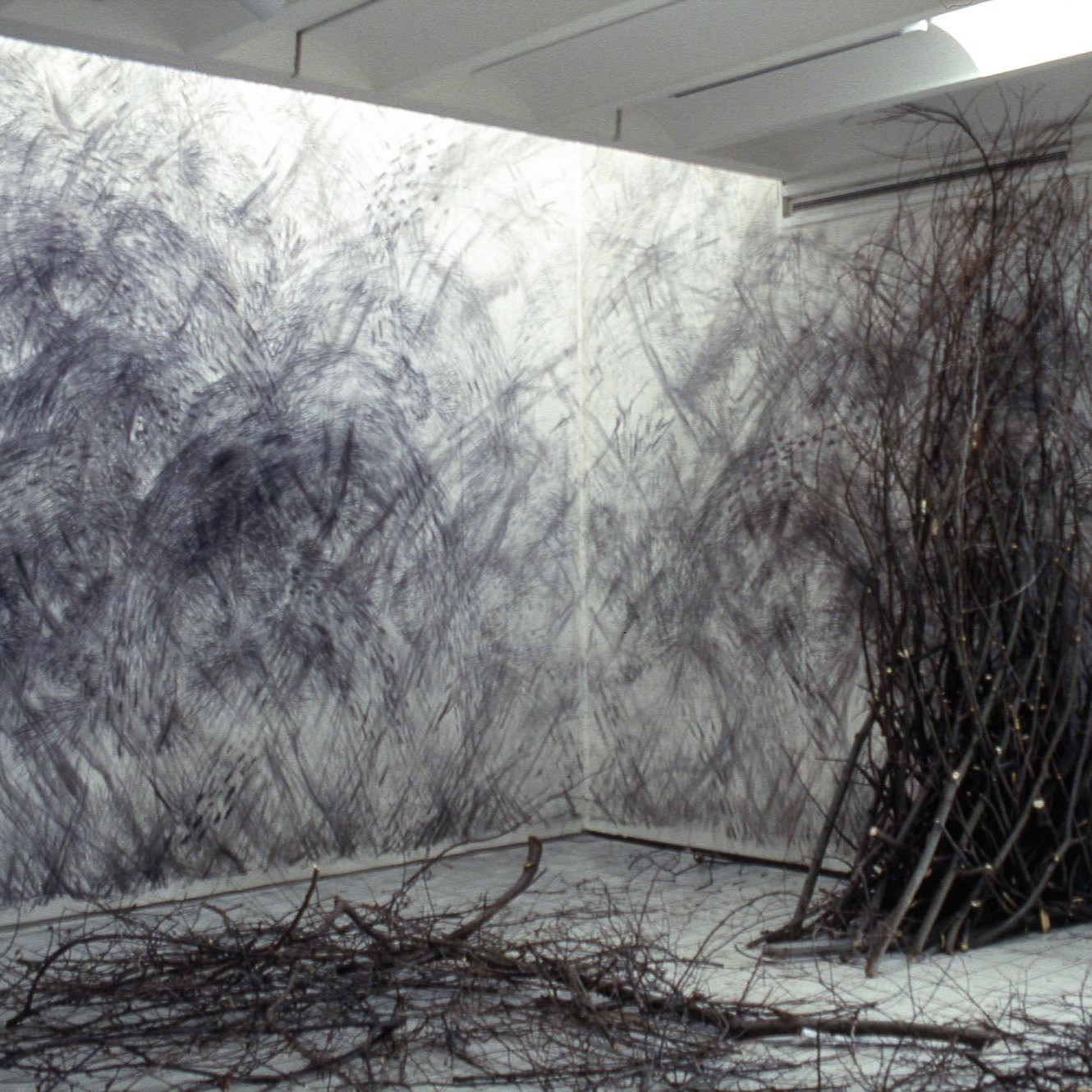 Photographie installation.