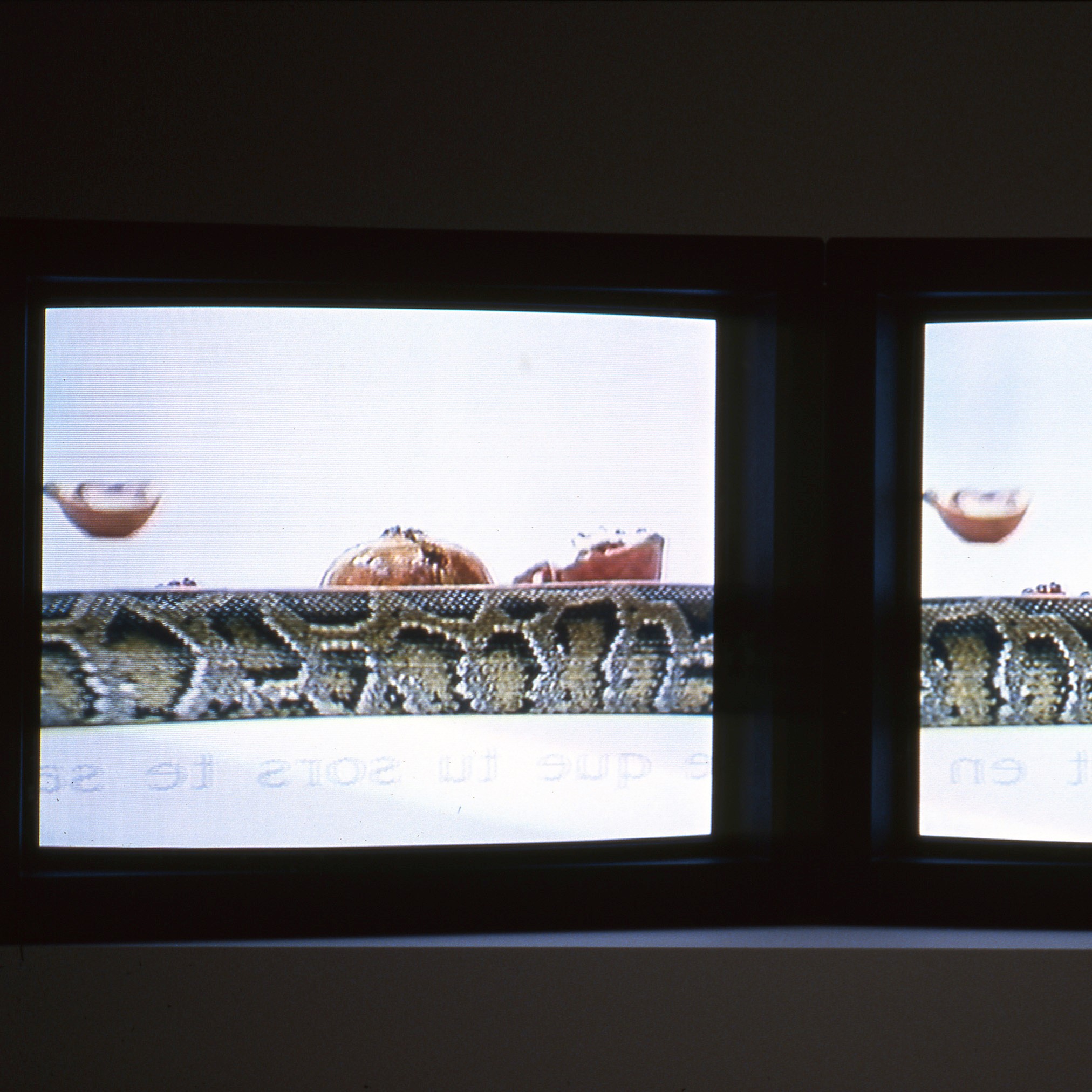 Photographie d'écran TV.