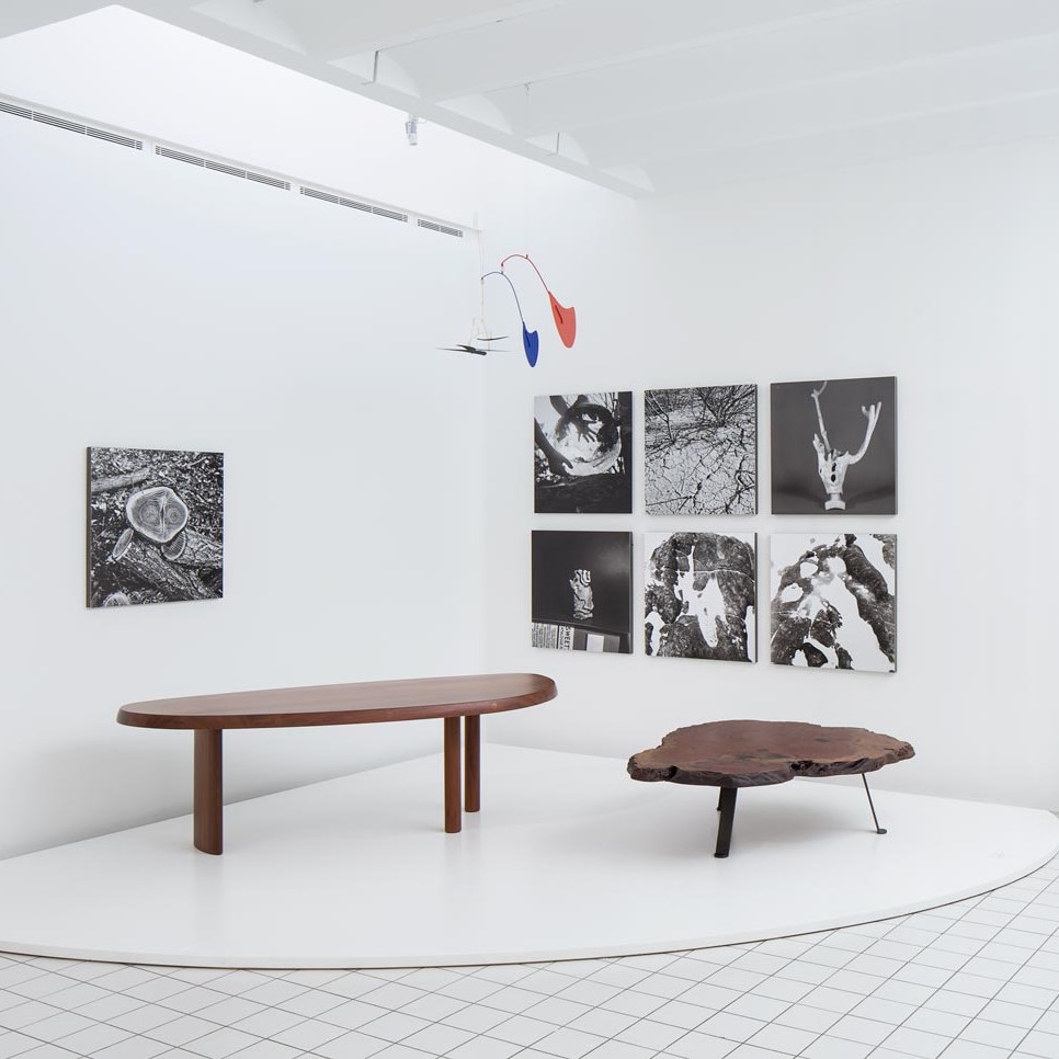 Salle d'exposition présentant deux tables en bois, sept tableaux en noir et blanc et un mobile de Calder.