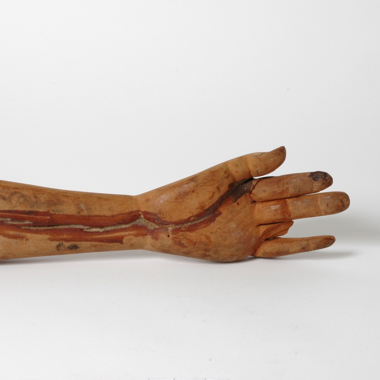 Avant bras et main en bois.