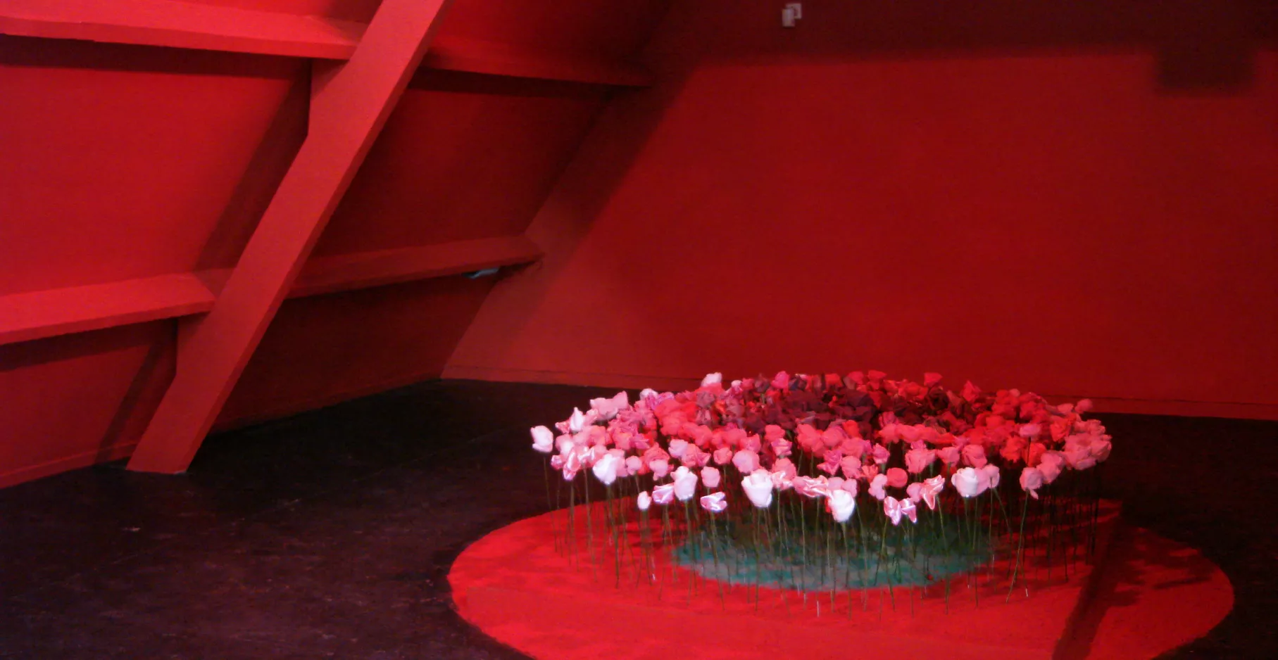Salle d'exposition rouge avec un cercle de fleurs au centre.