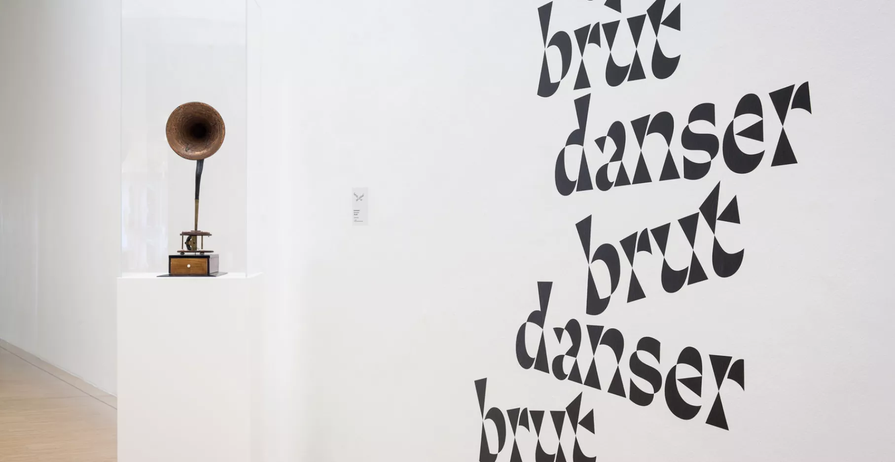 Texte de salle "danser brut" et vitrine.