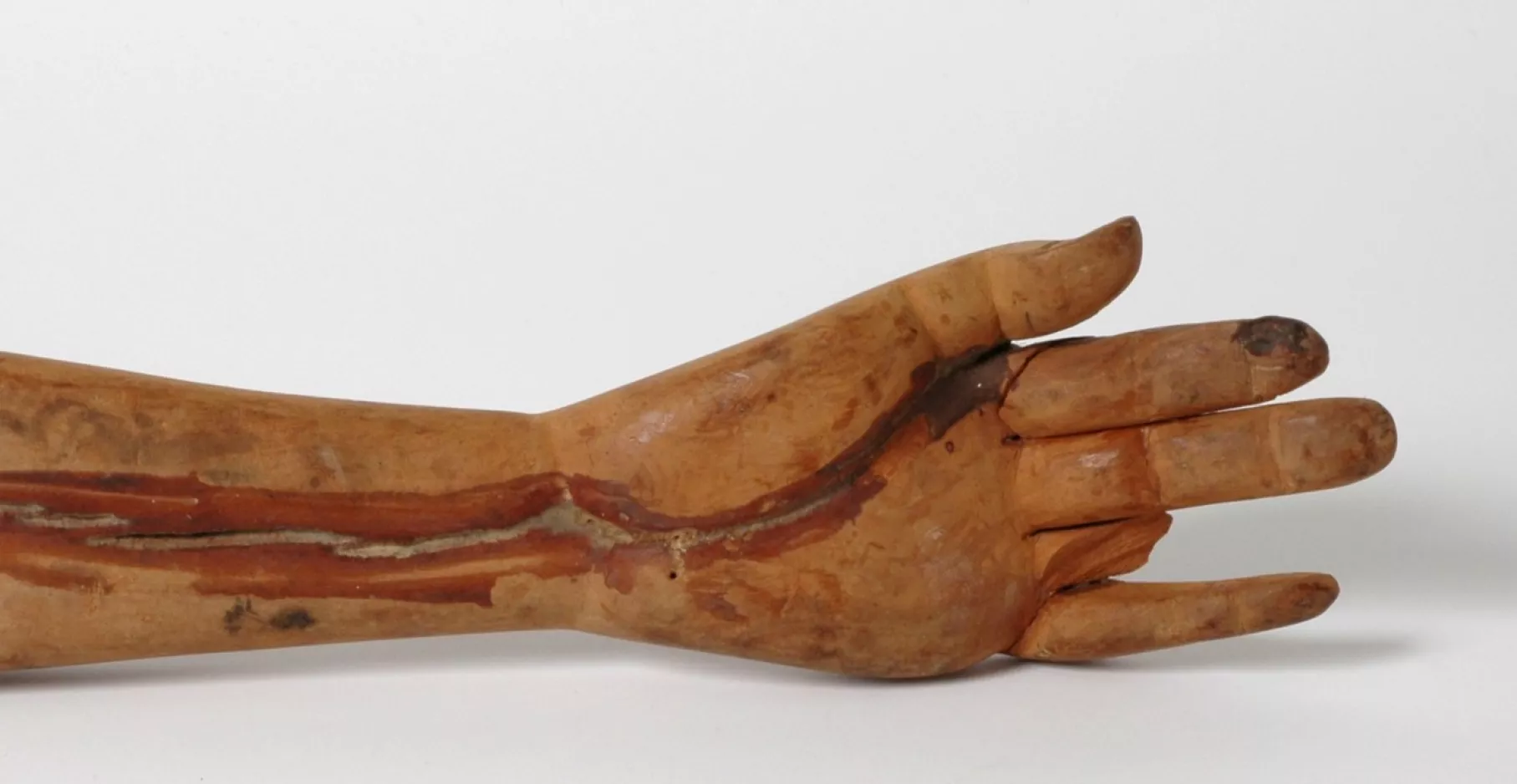 Avant bras et main en bois.